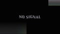 No Signal text glitch animation on a black background