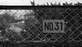 No31 steel fence