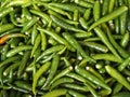 No stem green chili Royalty Free Stock Photo