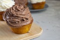 No sugar chocolate cupcakes on wooden board, vertical image.