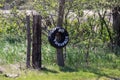 No Trespassing tire sign on barb wire fence Royalty Free Stock Photo