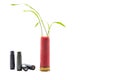 No war concept photo. Sprouts of grass grows out of red gun cartridge shotgun. White isolated background. Copy space Royalty Free Stock Photo