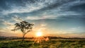 The Tree at Sunset