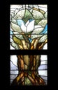 Noah`s dove, Hope, stained glass window in Chapel in Oberstaufen, Germany