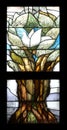 Noah`s dove, Hope, stained glass window in Chapel in Oberstaufen, Germany