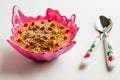 Noah`s Pudding in a stylish pink bowl with pomegranate seeds Royalty Free Stock Photo