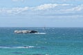 Noahs Ark Rock and Roman Rock Lighthouse in Simonstown