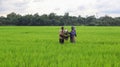 Noakhali,Bangladesh- September 13,2020: A Poor farmer couple helping each other to grow crops in village of Bangladesh