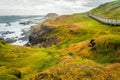 The Nobbies in Australia on a cloudy day Royalty Free Stock Photo