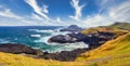 The Nobbies boardwalk and view of Seal Rocks at Point Grant, Phillip Island Royalty Free Stock Photo