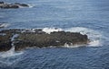 The Nobbies Phillip Island, a fascinating formation of rocks forming a haven for Australia`s largest colony of fur seals. Royalty Free Stock Photo