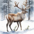 Elegant Christmas Elegance: Watercolor Reindeer Art