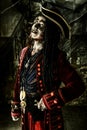 Noble brave pirate Royalty Free Stock Photo