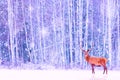 Noble deer against winter snowy forest. Artistic fairy Christmas. Winter seasonal image Royalty Free Stock Photo