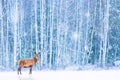 Noble deer against winter snowy forest. Artistic fairy Christmas. Winter seasonal image