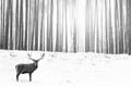 Noble deer in the background of a winter fairy forest. Snowfall. Winter Christmas creative image. Minimalism concept.