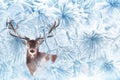 Noble deer in a fabulous coniferous snowy forest. Royalty Free Stock Photo