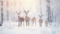 Noble deer family in winter snow forest. Artistic winter Christmas landscape. Winter wonderland