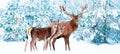 Noble deer male and female in a snowy winter forest. Christmas fantasy image in blue and white color.