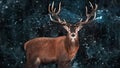 Noble deer male in a snowy forest. Natural winter image.