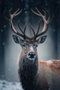 Noble Deer male in winter