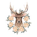 Noble deer with roses