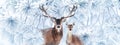 Noble deers in a fabulous snowy forest. Winter wonderland. Banner format. Royalty Free Stock Photo