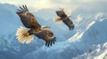 Noble eagles soaring high above snow-capped mountain peaks, symbols of freedom and strength Royalty Free Stock Photo