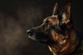 A Noble German Shepherd Portrait