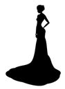 Noble lady silhouette