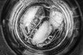 Noble looking detail shot of whiskey with ice cubes in a glass Royalty Free Stock Photo