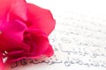 Noble Qur'an and rose