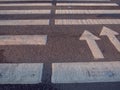 Nobody on Crosswalk in Black and white. Forward direction