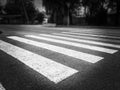 Nobody on Crosswalk in Black and white.