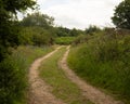 Empty English countryside track leading away with no people