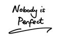 Nobody is Perfect