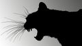 Nocturnal Fury: The Menacing Silhouette of a Stealthy Cat