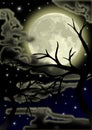 Nocturnal sky with stars and moon Royalty Free Stock Photo