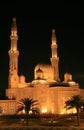 Nocturne of Mosque Royalty Free Stock Photo