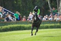 Noddy in steeplechase in Lysa nad Labem Royalty Free Stock Photo