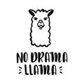 Nodrama Llama vector quote with hand drawn llama. Llama motivational and inspirational quote. Simple cool white llama head