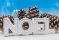 Noel Block Text Skewed with Pine Cones