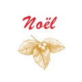 Noel french Christmas lettering Royalty Free Stock Photo