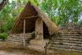 Nohoch Mul Pyramid and stele at the ancient ruins of the Mayan city Coba Royalty Free Stock Photo