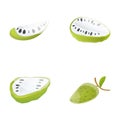 Noina fruit icons set cartoon vector. Fresh green sugar apple