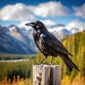 Noisy Raven Made With Generative AI illustration