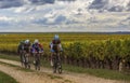 Group of Cyclists - Paris Tours 2020