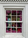 NOLA Shop Window Dressing