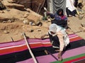 Nomad berber women weaving carpets in front of their tent in the mountains