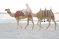 Arab man riding camels on the beach.